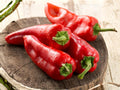 Giant Marconi Red Sweet Pepper Seeds – Italian Heirloom, Long Thick-Walled, Roasting, Frying, Stuffing, 25 Seeds
