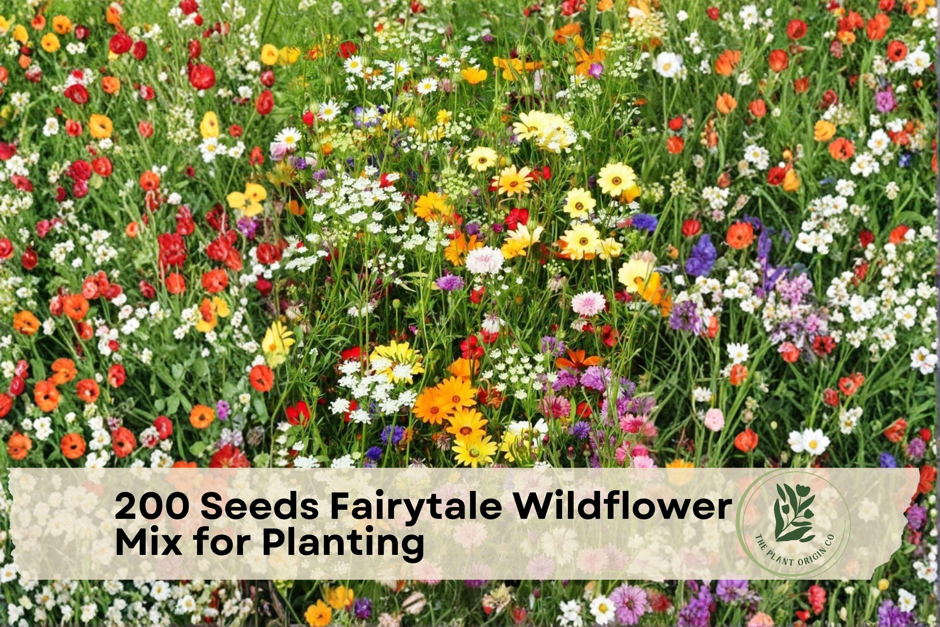 Fairytale Wildflower Mix Seeds – Colorful Cottage Garden Flowers for Natural Meadow Plantings, 200 Seeds