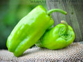 Pepperoncini Italian Sweet Pepper Seeds – Mild, Heirloom, 25 Pack for Pickling, Salads, and Fresh Eating