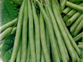 Petite Filet French Bean Seeds – 50 Heirloom Non-GMO Compact Green Beans for Vegetable Gardens