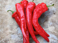 Hatch Rattlesnake Pepper Seeds – Hot Southwestern Chili, 25 Seeds, Long Green to Red, Vegetable, Capsicum annuum