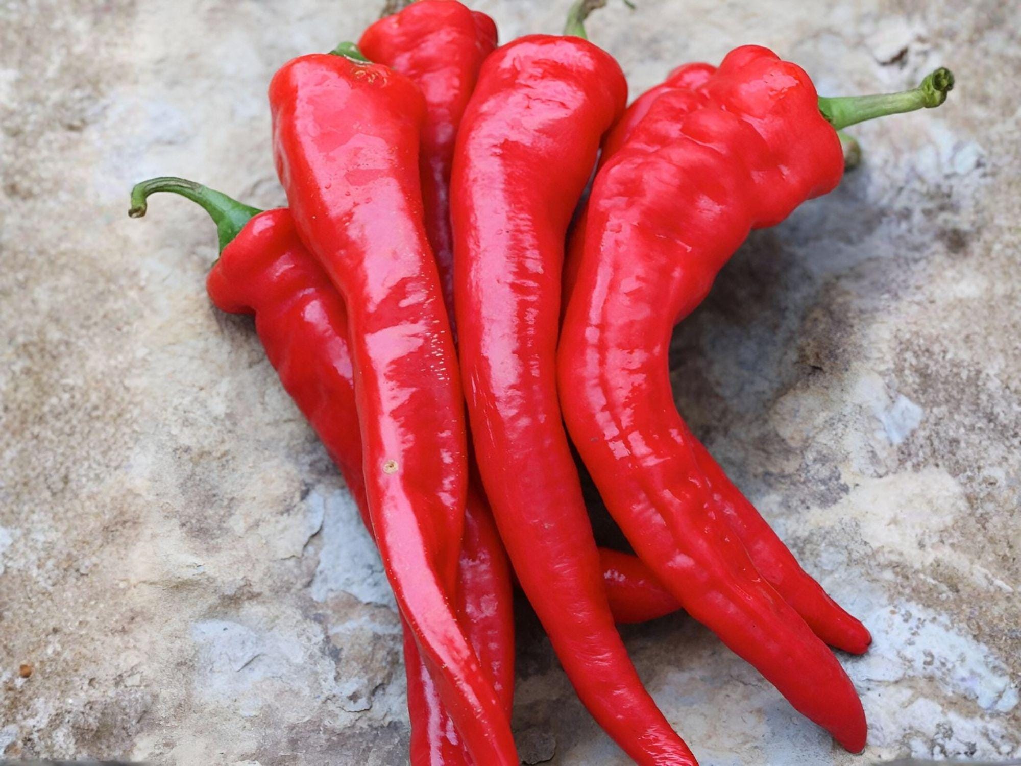 Hatch Rattlesnake Pepper Seeds – Hot Southwestern Chili, 25 Seeds, Long Green to Red, Vegetable, Capsicum annuum