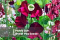 50+ Monty Don Sweet Pea Seeds, Fragrant Climbing Flower, Pastel Mix, Lathyrus odoratus, Annual Garden Seeds