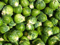 Long Island Brussels Sprouts Seeds – 500 Heirloom, Cold Hardy, Compact Planting, Mini-Cabbage, Non-GMO