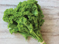 Southern Giant Curled Mustard Seeds – Heirloom Green Vegetable, 500 Seeds, Fast-Growing, Non-GMO, Cool Weather Leafy Green