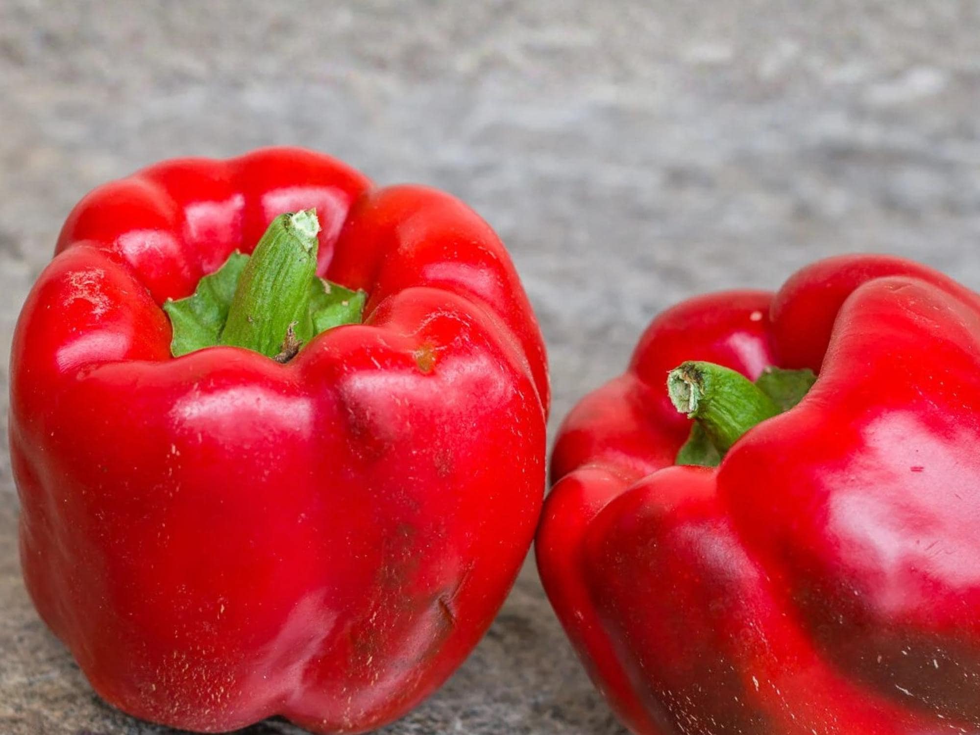 Sweet Pepper Yolo Wonder Bell Improved Seeds – Heirloom, Non-GMO, High Yield, 25 Seeds, Bell Pepper Plant, Green to Red Fruits