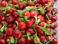 Large Cherry Hot Pepper Seeds – Heirloom, Non-GMO, Round Red Chili Vegetable, Spicy, Thick-Walled, 25 Seeds