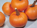 Small Sugar Pumpkin Seeds, Heirloom Non-GMO, Sweet Pie Vegetable, 10 Seeds for Home Garden, Baking & Fall Decor