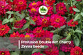 Zinnia Seeds | Profusion Double Hot Cherry | Cherry Pink Blooms | Zinnia hybrida Annual for Borders, Pots & Pollinators