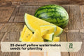 Dwarf Yellow Watermelon Seeds – Compact Citrullus lanatus for Small Gardens, Containers, Raised Beds