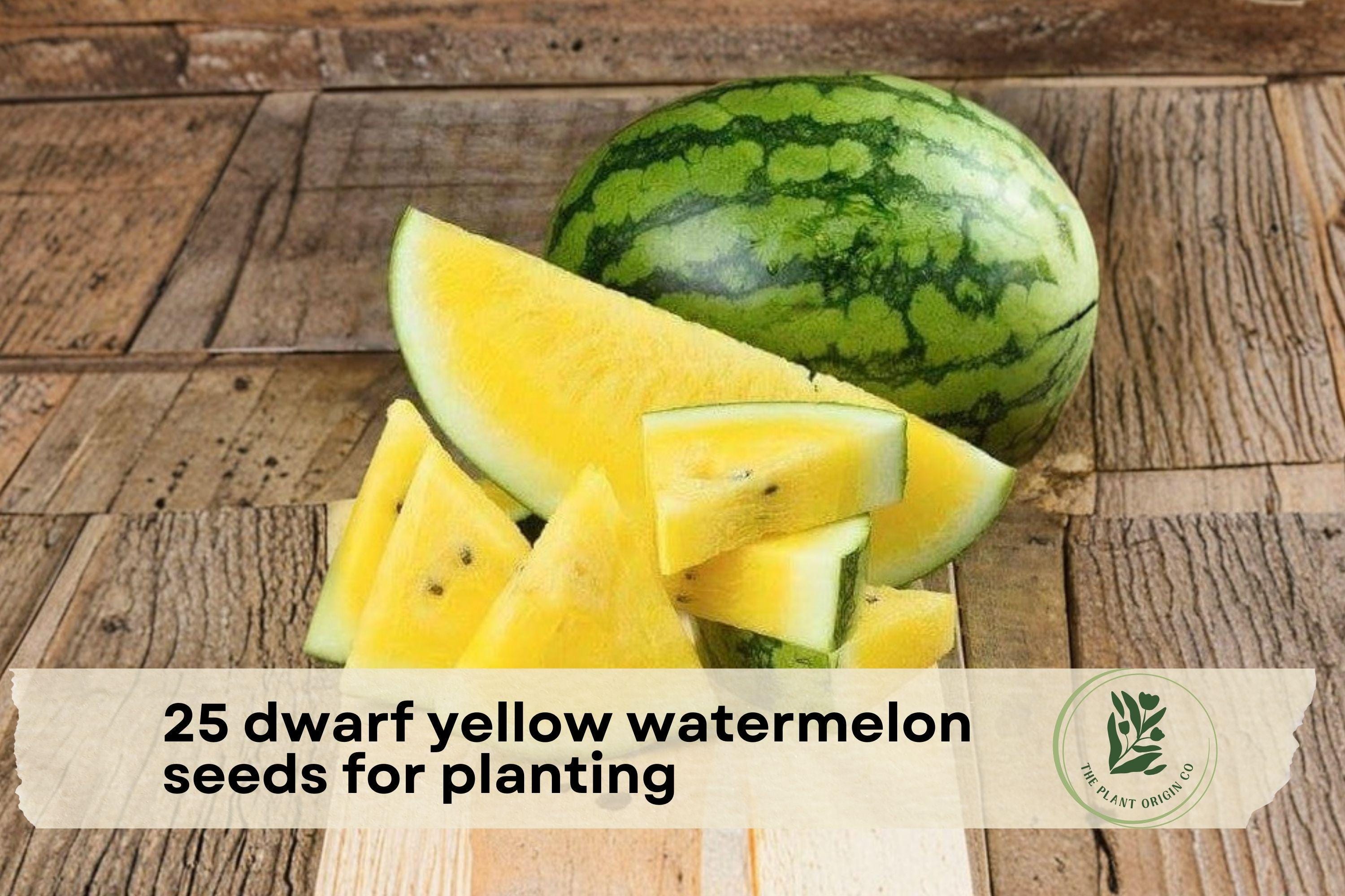 Dwarf Yellow Watermelon Seeds – Compact Citrullus lanatus for Small Gardens, Containers, Raised Beds