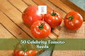 50 Celebrity Tomato Seeds – Hybrid Solanum lycopersicum for Garden, Container, and Raised Bed Planting