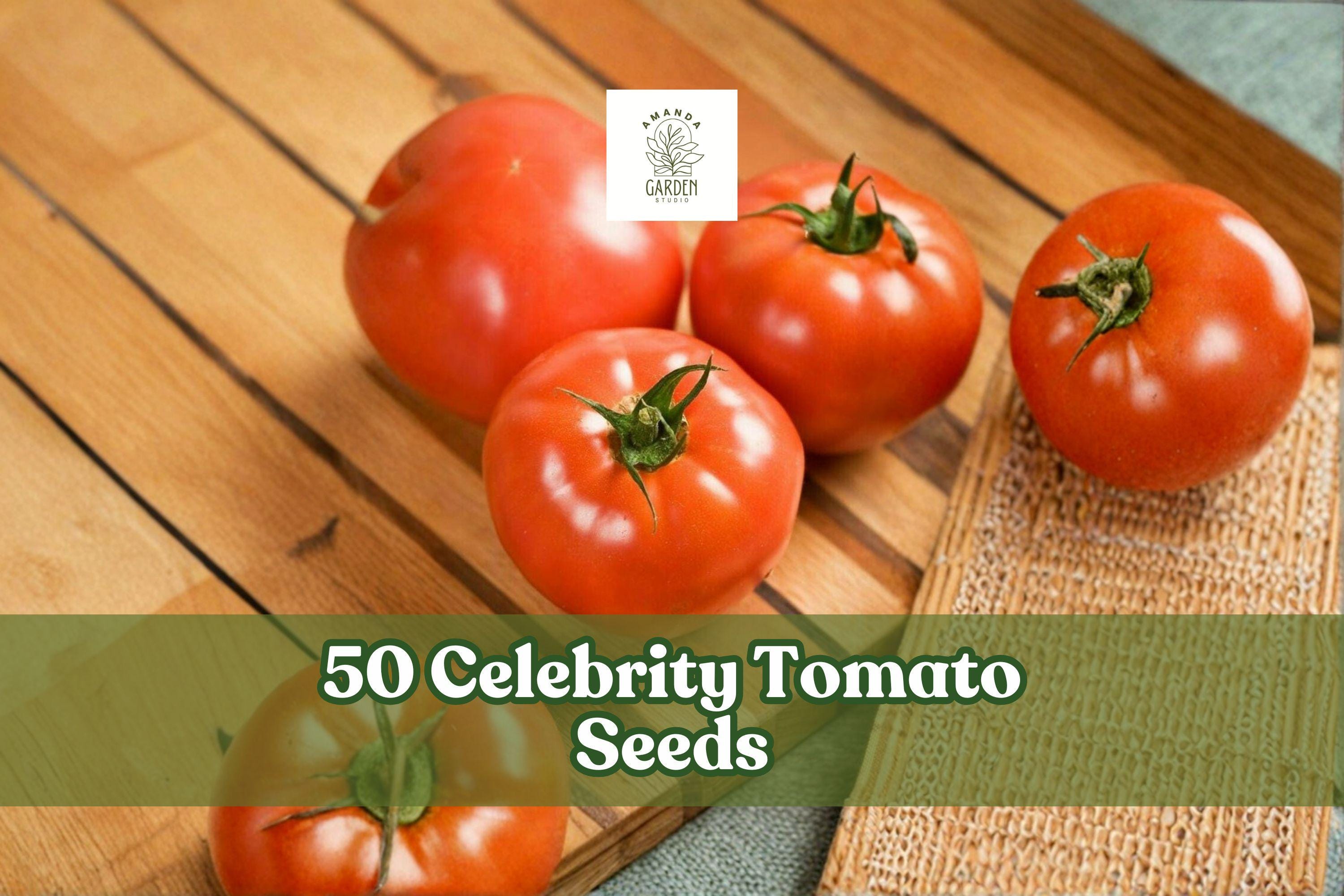 50 Celebrity Tomato Seeds – Hybrid Solanum lycopersicum for Garden, Container, and Raised Bed Planting