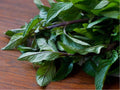 Black Mint Herb Seeds – Huacatay, Peruvian Culinary Herb, Non-GMO, Heirloom, Aromatic Green Foliage, Pollinator Friendly