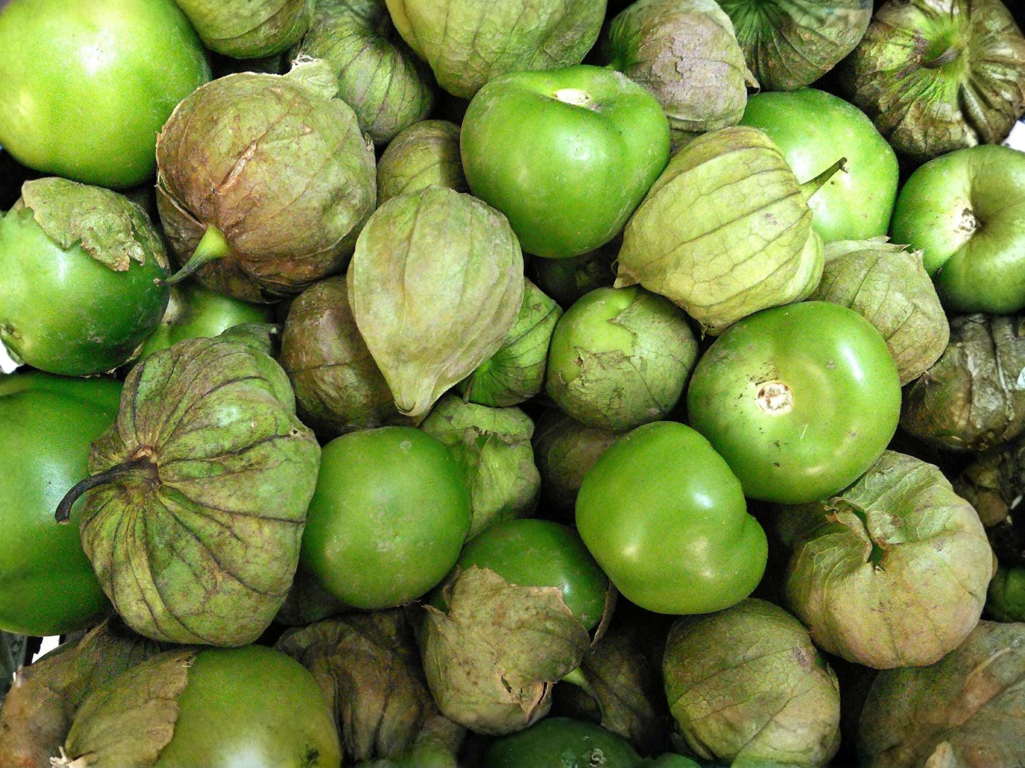 Tomatillo Verde Seeds – 30 Vegetable Seeds for Salsa Verde, Home Garden, Bright Green Fruits, Indeterminate, Latin Cooking