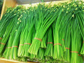 Flowering Chinese Leek Seeds – Edible Garlic Chives, Allium tuberosum, Heirloom, Non-GMO, Pollinator-Friendly Herb