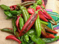 Ms. Junie Super Hot Pepper Seeds – Rare Caribbean Chili Heirloom – Fiery Fruit for Hot Sauces & Spicy Dishes – 50 Seeds