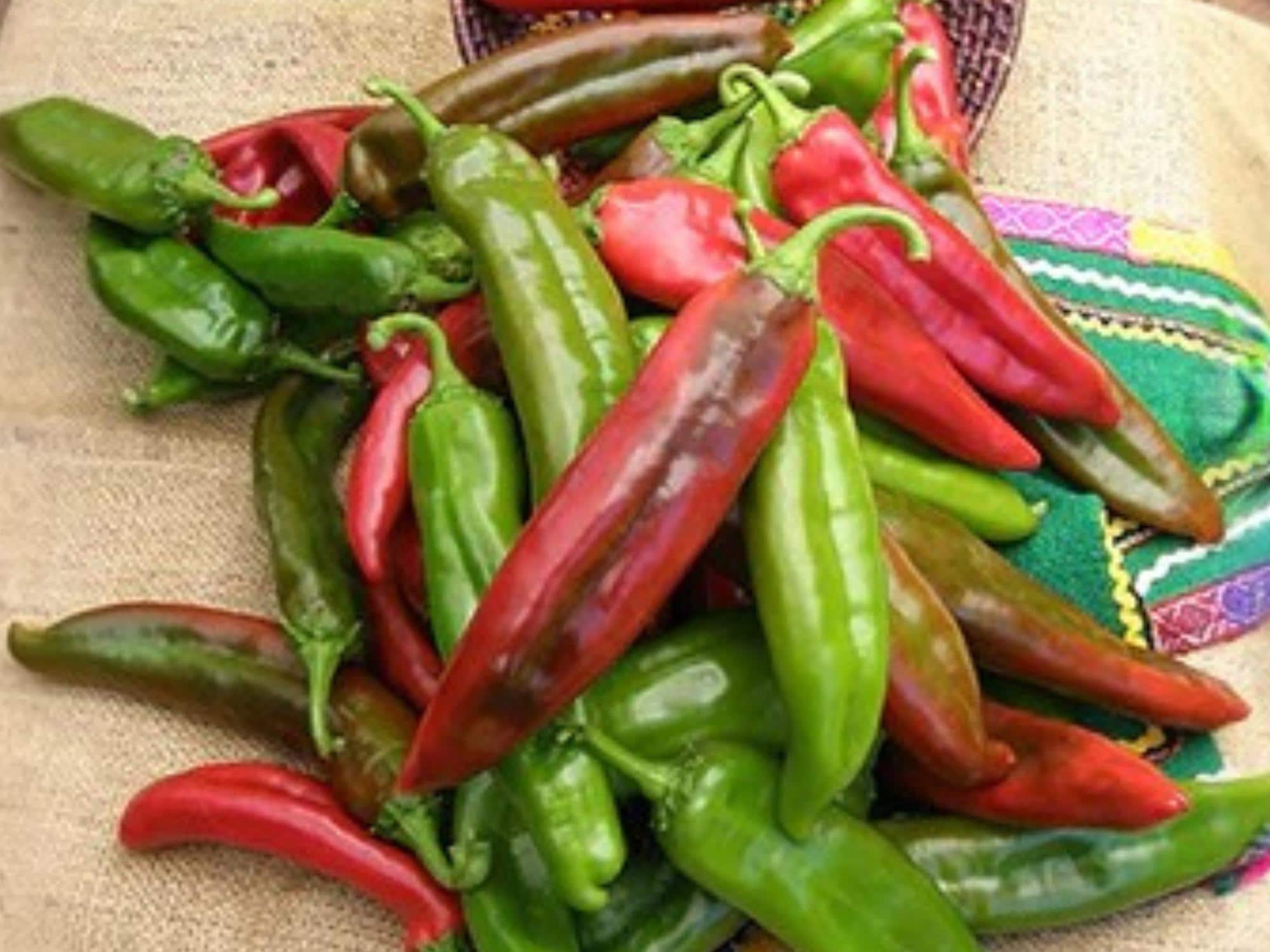 Ms. Junie Super Hot Pepper Seeds – Rare Caribbean Chili Heirloom – Fiery Fruit for Hot Sauces & Spicy Dishes – 50 Seeds