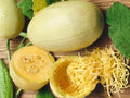 Spaghetti Squash Seeds – Winter Vegetable, Heirloom Variety, Stringy Flesh, 10 Seeds for Home Garden, Easy to Grow