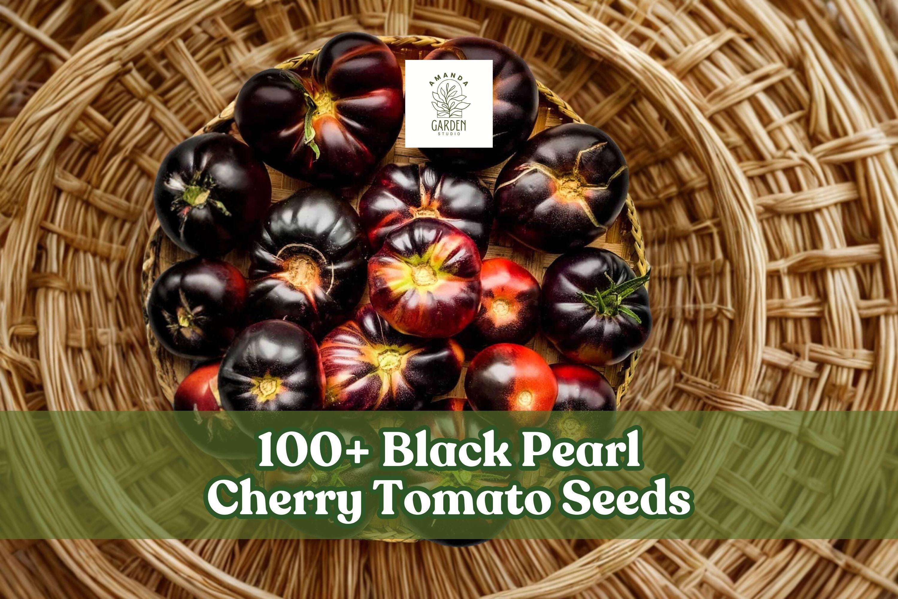 Black Pearl Cherry Tomato Seeds – 100+ Dark Heirloom Solanum lycopersicum for Containers & Garden