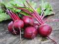 Detroit Dark Red Beet Seeds – 500 Heirloom Vegetable Seeds for Planting, Deep Crimson Roots, Sweet Flavor, Open-Pollinated, Garden & Container