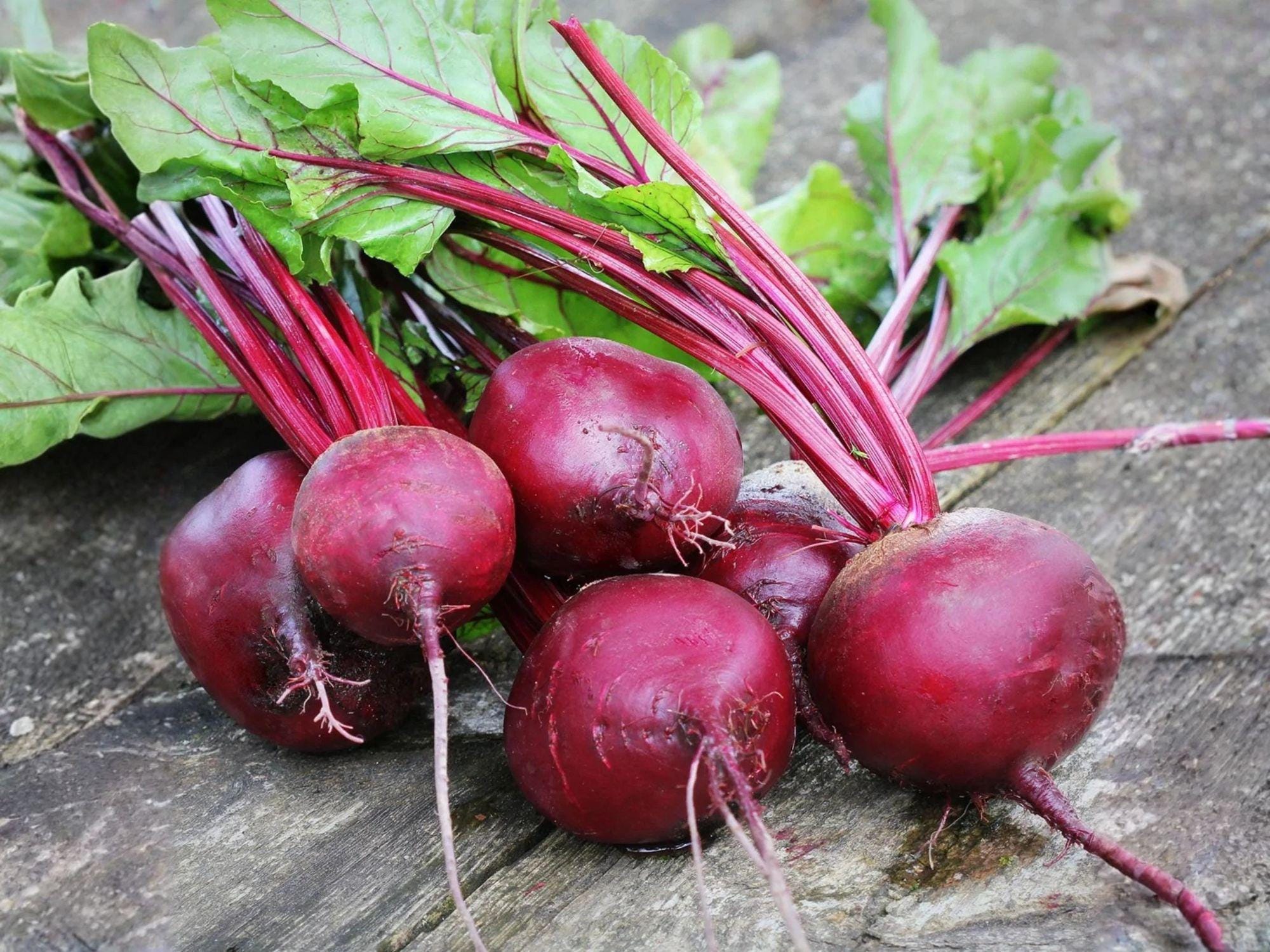 Detroit Dark Red Beet Seeds – 500 Heirloom Vegetable Seeds for Planting, Deep Crimson Roots, Sweet Flavor, Open-Pollinated, Garden & Container