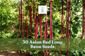 Asian Red Long Bean Seeds, Climbing Vines, Red Cowpea, Long Pods, Vegetable Plant, Vigna unguiculata, Garden Seeds