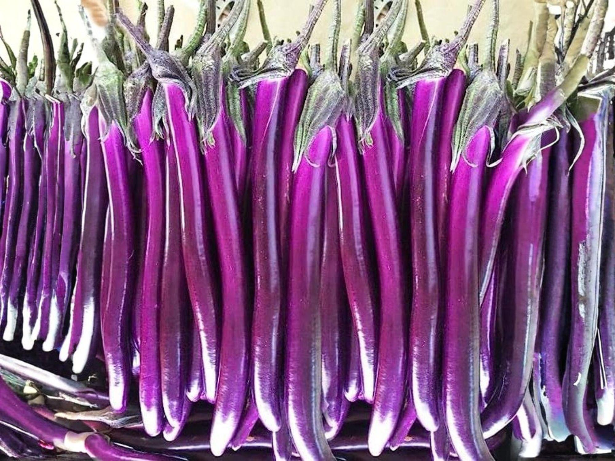 Long Purple Eggplant Seeds – Heirloom Italian Aubergine, 50 Slim, Glossy Purple Vegetables for Garden, Container, and Raised Bed Growing