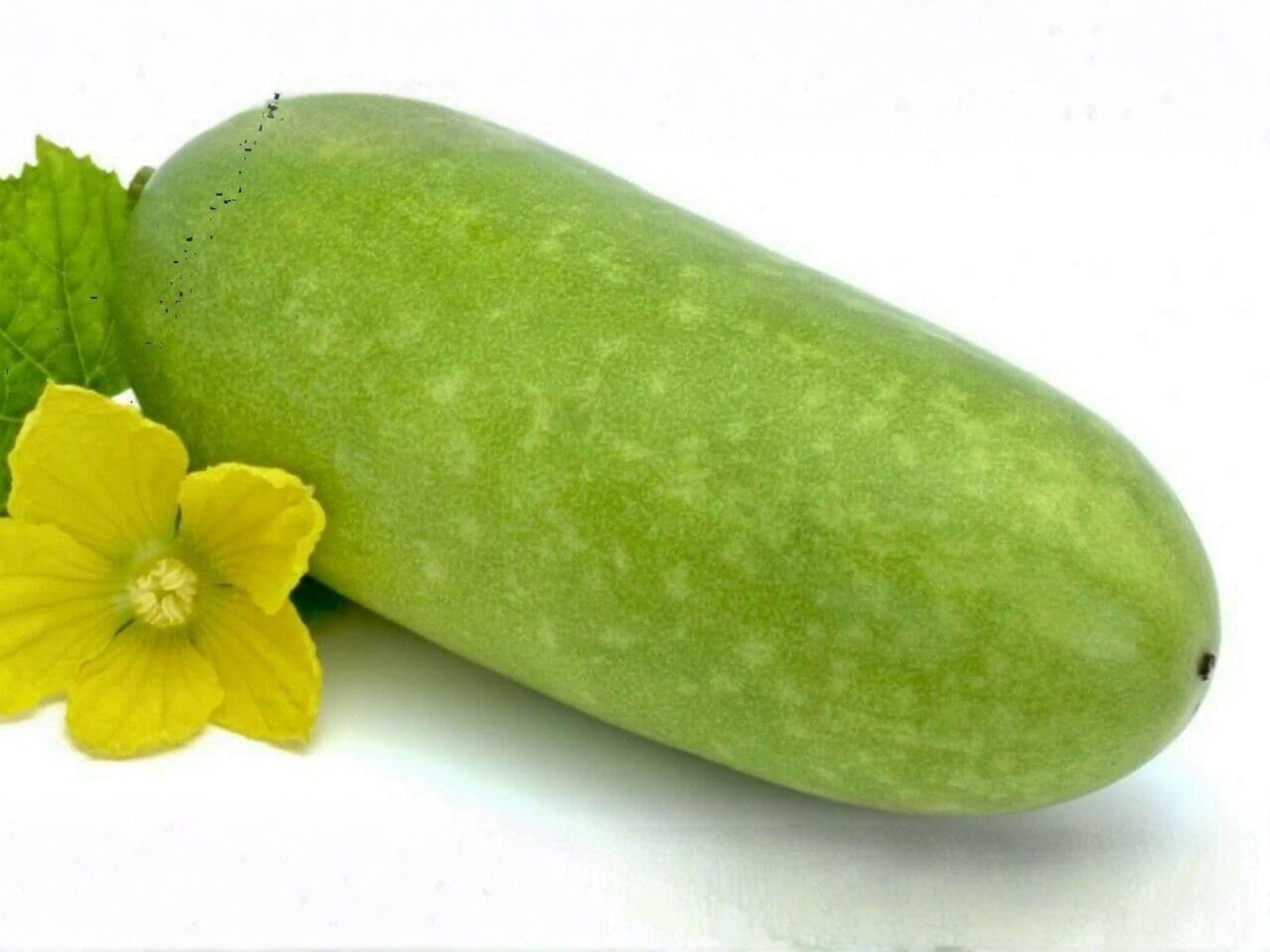 Wax Gourd Seeds – 10 Winter Melon Heirloom Seeds for Asian Cuisine, Long Storage, Climbing Vine, Cucumis melo var. agrestis