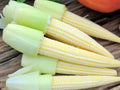 Japanese Hulless White Popcorn Seeds – Non-GMO, Tender, Hull-Free, White Baby Corn, Gourmet Popping Variety, 50 Seeds