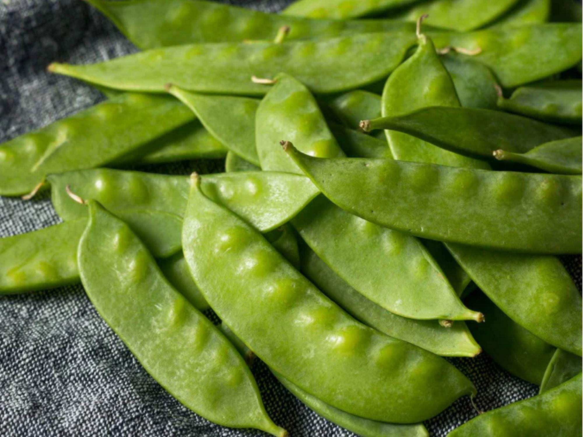 Dwarf Sugar Grey Snow Pea Seeds – Edible Pod, Compact Garden Variety, Non-GMO Pisum sativum, 50 Seeds