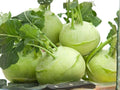 White Vienna Kohlrabi Seeds – Heirloom Vegetable Bulbs for Spring & Fall Gardens – Edible Green to White Bulb Seeds