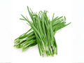 Flowering Chinese Leek Seeds, Garlic Chives, Allium tuberosum, Edible Perennial Herb, Pollinator-Friendly, Container & Garden