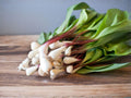 Wild Leek Ramp Seeds – 10 Allium tricoccum Woodland Vegetable Seeds for Shade Gardens & Gourmet Cooking