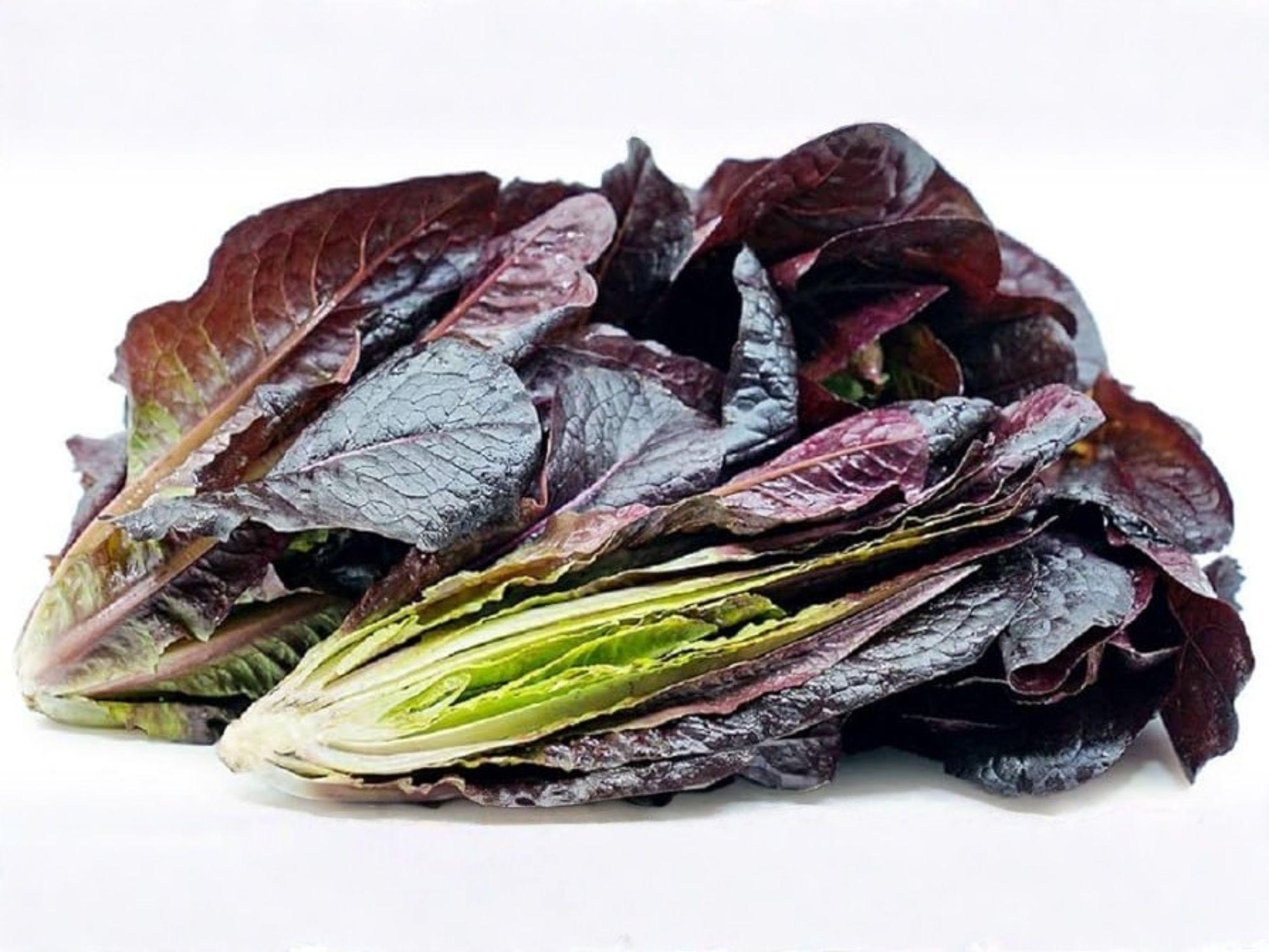 Heirloom Red Romaine Lettuce Seeds – Crisp Cos Salad Greens, 500 Seeds, Heirloom, Cool-Season, Garden, Container, Salad Greens