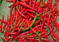 Red Long Cayenne Pepper Seeds – Heirloom Chili Vegetable for Spicy Slim Peppers, 25 Seeds