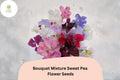 Bouquet Mixture Sweet Pea Seeds 50+ | Climbing Fragrant Flowers | Lathyrus odoratus Multi-Color Garden Vine