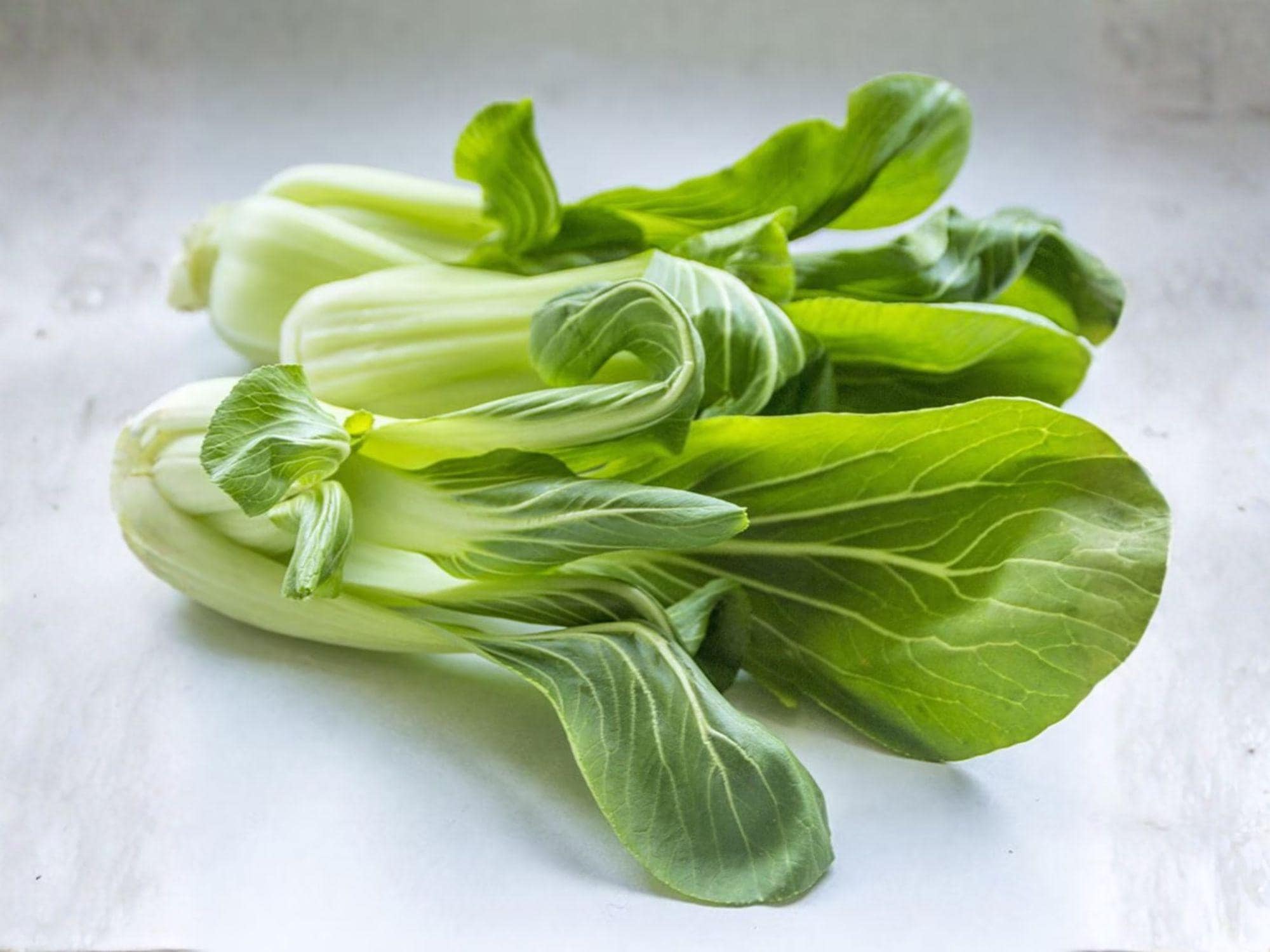 Fun Jen Frilly Leaf Pak Choi Seeds – Hybrid Baby Bok Choy Asian Greens for Stir-Fry, Soup, and Fresh Dishes, Brassica rapa subsp. chinensis
