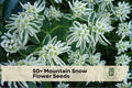 50+ Mountain Snow Flower Seeds - Euphorbia marginata, Ornamental Annual for Borders & Gardens, White & Green Variegated Foliage
