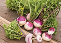 Purple Top White Globe Turnip Seeds – Heirloom Root Vegetable for Cool Season Gardens, 500 Seeds