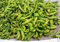 Heirloom Pepperoncini Seeds – Mild Tangy Italian Sweet Peppers, 25 Seeds, Gourmet Vegetable, Heirloom, Garden, Container
