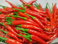 Thai Hot Pepper Seeds – 25 Capsicum frutescens, Asian Heat, Small Slender Chili, Hot Pepper for Cooking & Container Gardening