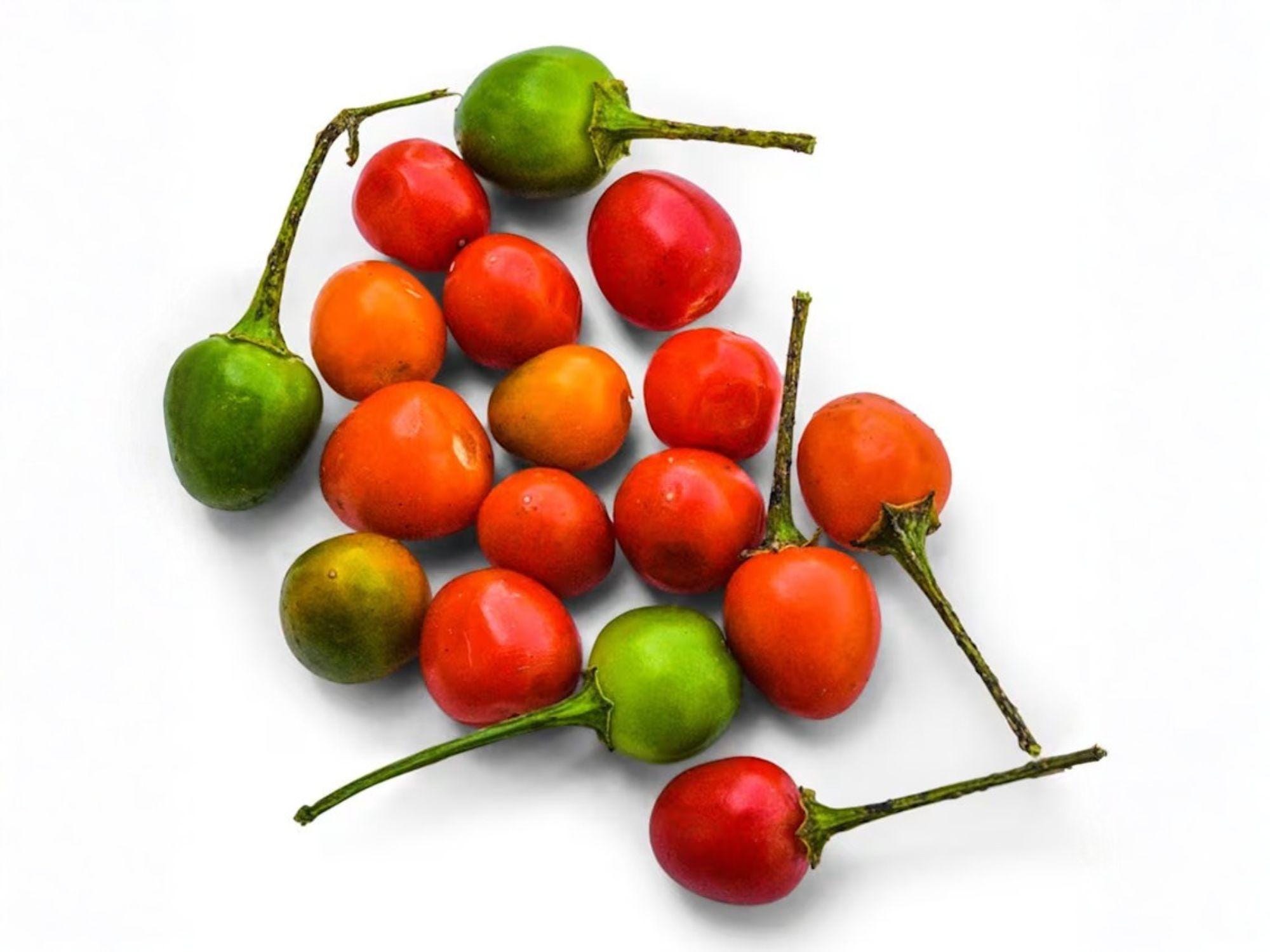 Chiltepin Pepper Seeds – Wild Heirloom Hot Bird Chili Seeds – Small Round Peppers – North American Native Plant