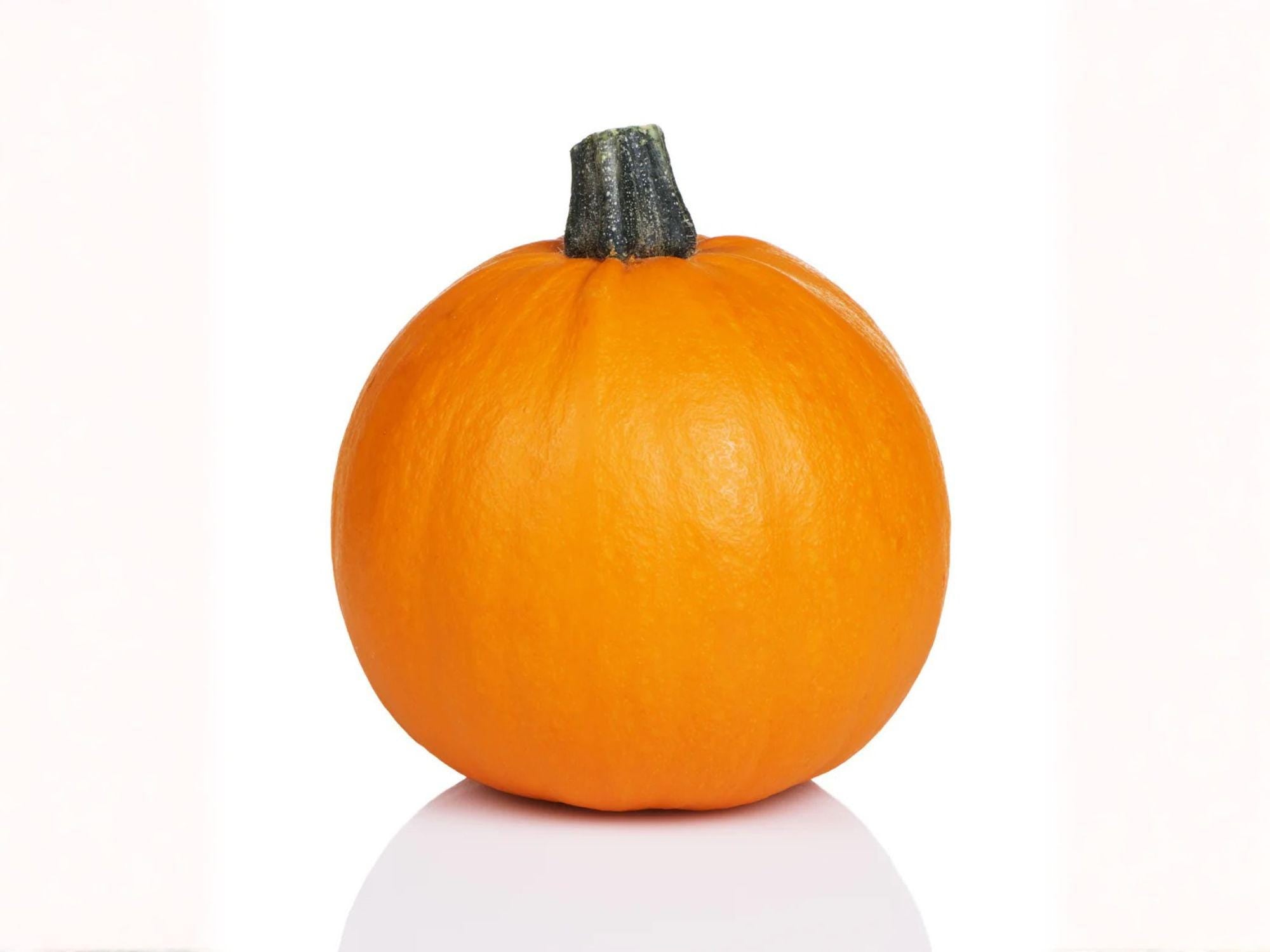 Heirloom Small Sugar Pumpkin Seeds – Baking Pie Variety for Garden Harvest – Sweet, Bright Orange, Classic Fall Decor