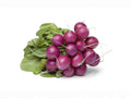 Triton Purple Stem Radish Seeds – Heirloom Spring Garden Vegetable, Crisp, Fast-Growing, Bright Purple Stems, 100 Seeds