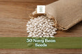 Navy Bean Seeds – White Kidney Bean, Bush Variety, Phaseolus vulgaris, 30 Seeds for Home Garden Planting