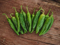 Sonora Mild Hot Pepper Seeds – 25 Heirloom Chili Garden Seeds for Roasting, Stuffing, and Salsas