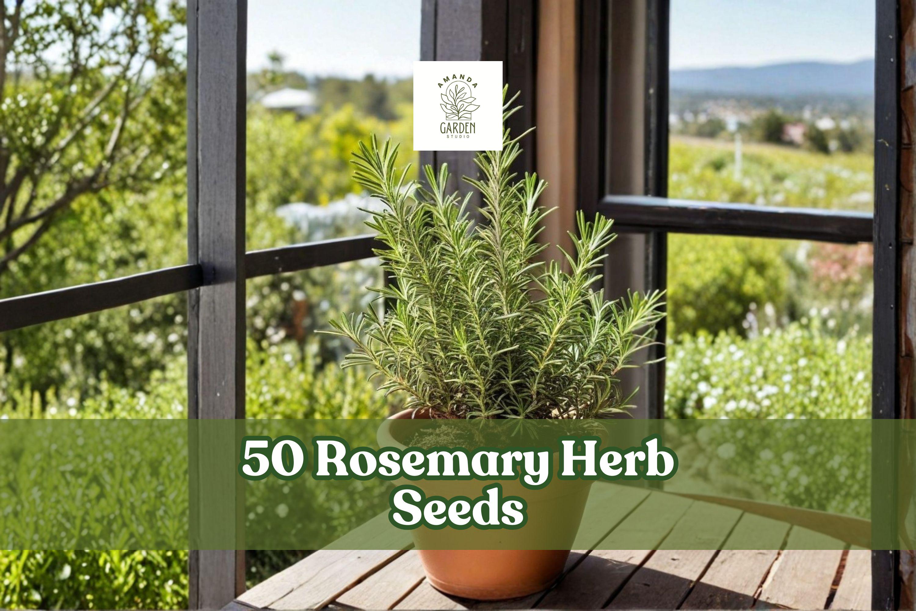Rosemary Herb Seeds for Planting, Salvia rosmarinus, Evergreen Aromatic Foliage, Culinary and Ornamental Garden Seeds