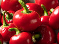 Large Cherry Hot Pepper Seeds – Round Pickling Chili, Thick-Walled, Capsicum annuum, for Pickling & Stuffing, 25 Non-GMO Seeds