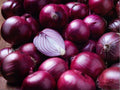 Southport Red Globe Onion Seeds – 50 Heirloom Long-Day Red Bulbs for Storage, Globe-Shaped, Mild Flavor, Northern Climate
